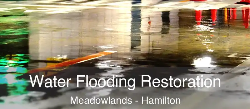  Water Flooding Restoration Meadowlands - Hamilton
