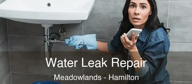  Water Leak Repair Meadowlands - Hamilton