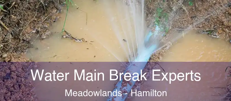  Water Main Break Experts Meadowlands - Hamilton
