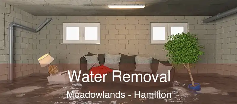  Water Removal Meadowlands - Hamilton